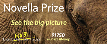 Novella Prize contest