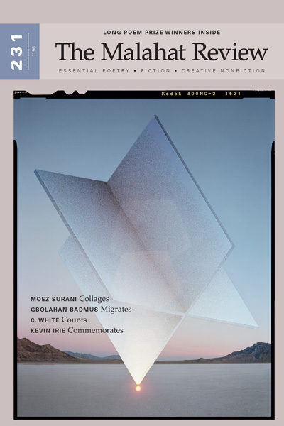 Issue 231 cover art by James Nizam